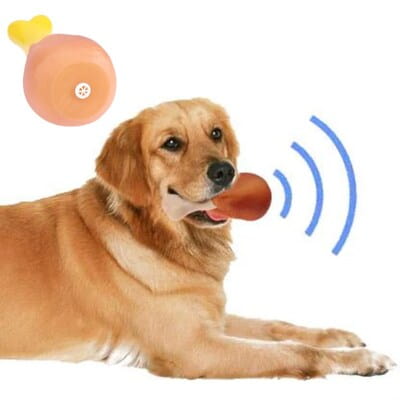 Köpekler İçin Eğitici Eğlenceli Tavuk Budu Şeklinde Sesli Oyuncak
