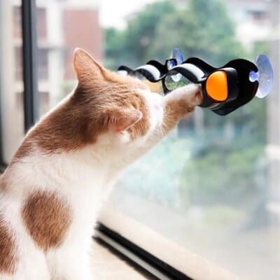 Vantuzlu Kedi Oyun Tüneli Pencereye Asılan Toplu Kedi Oyuncağı