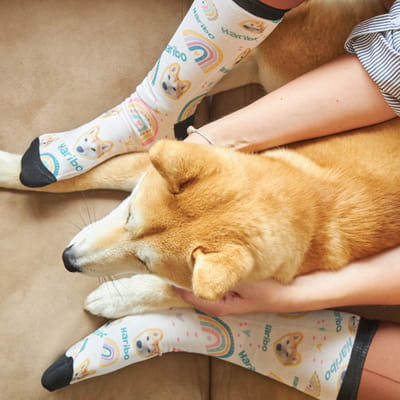 Evcil Hayvan Fotoğraf ve İsim Baskılı Rainbow Çorap