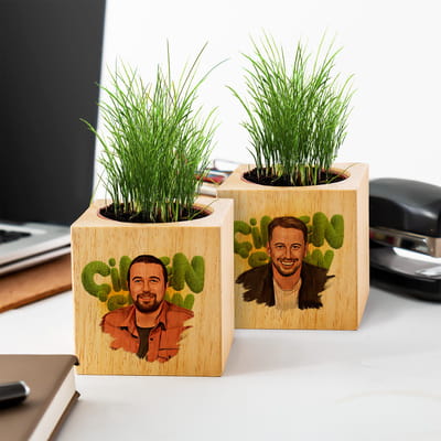 Çimen TalkShow Tasarımlı Doğal Tohumlu Naturacube