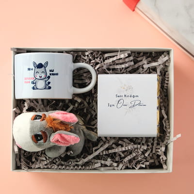 Eşeklik Ettim Özür Dilerim Konseptli Hediye Kutusu