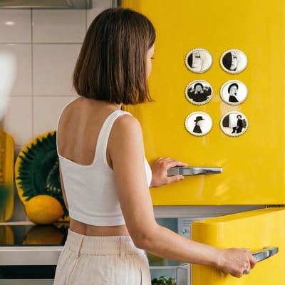 Oval Kesim 6 Parça Pleksi Resimli Magnet