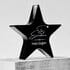 Star Of Excellence Tasarımlı İsme Özel Yıldız Akrilik