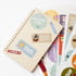 İsme Özel Suluk, Beslenme Kabı, Sticker ve Kumaş İsim Etiketi - 4'lü Set
