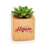 Hemşirelere Hediye Sukulent Naturacube